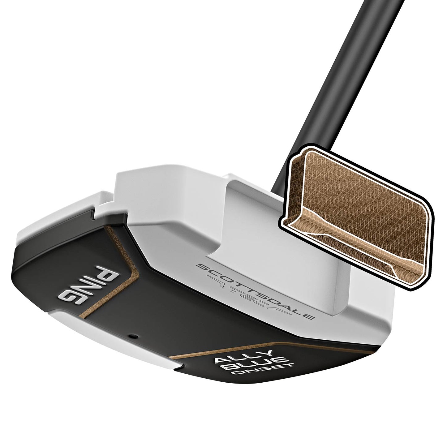 Custom Ping Scottsdale TEC Ally Blue Onset Putter