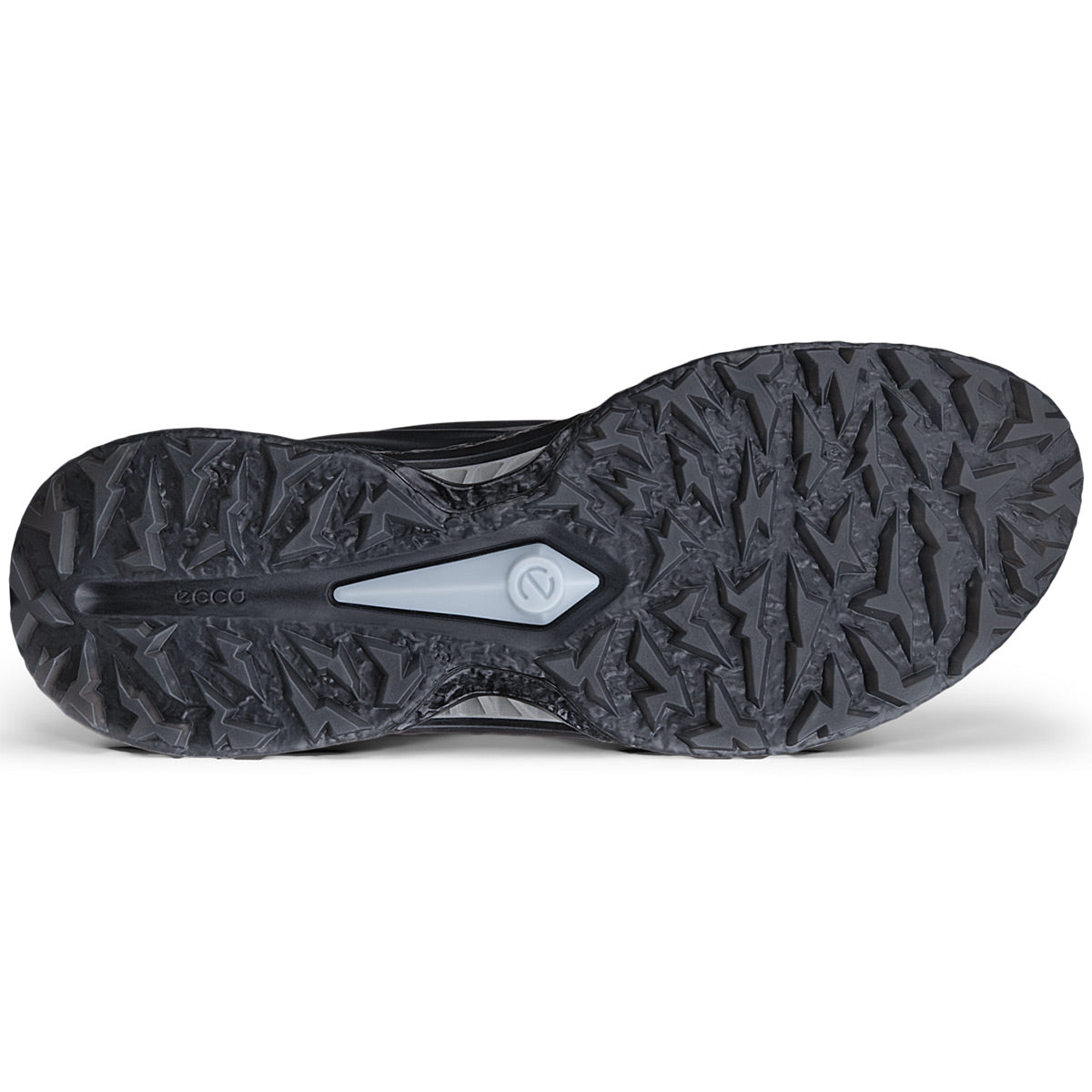 Ecco Biom C5 Premium BOA Golf Shoes Black/Dark Silver