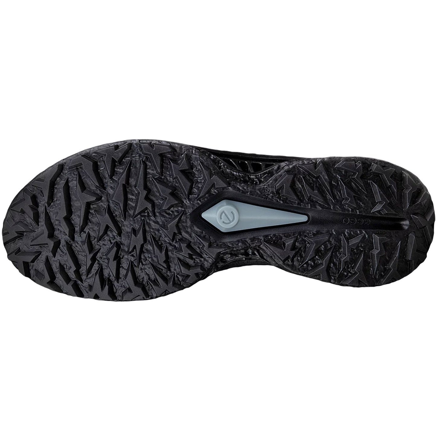 Ecco Biom C5 Leather Golf Shoes Black