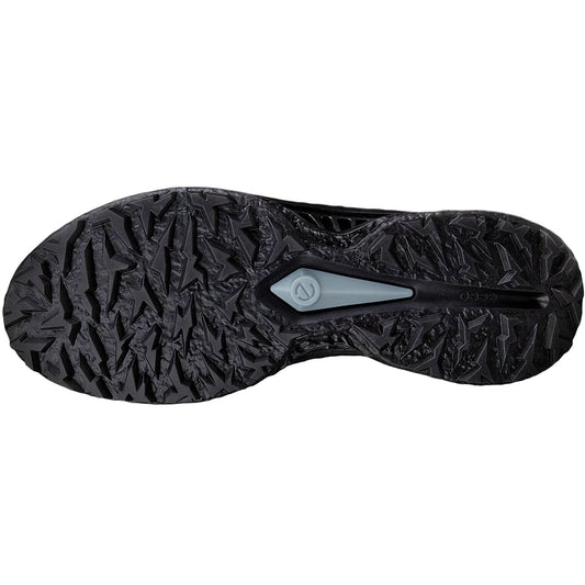 Ecco Biom C5 Leather Golf Shoes Black