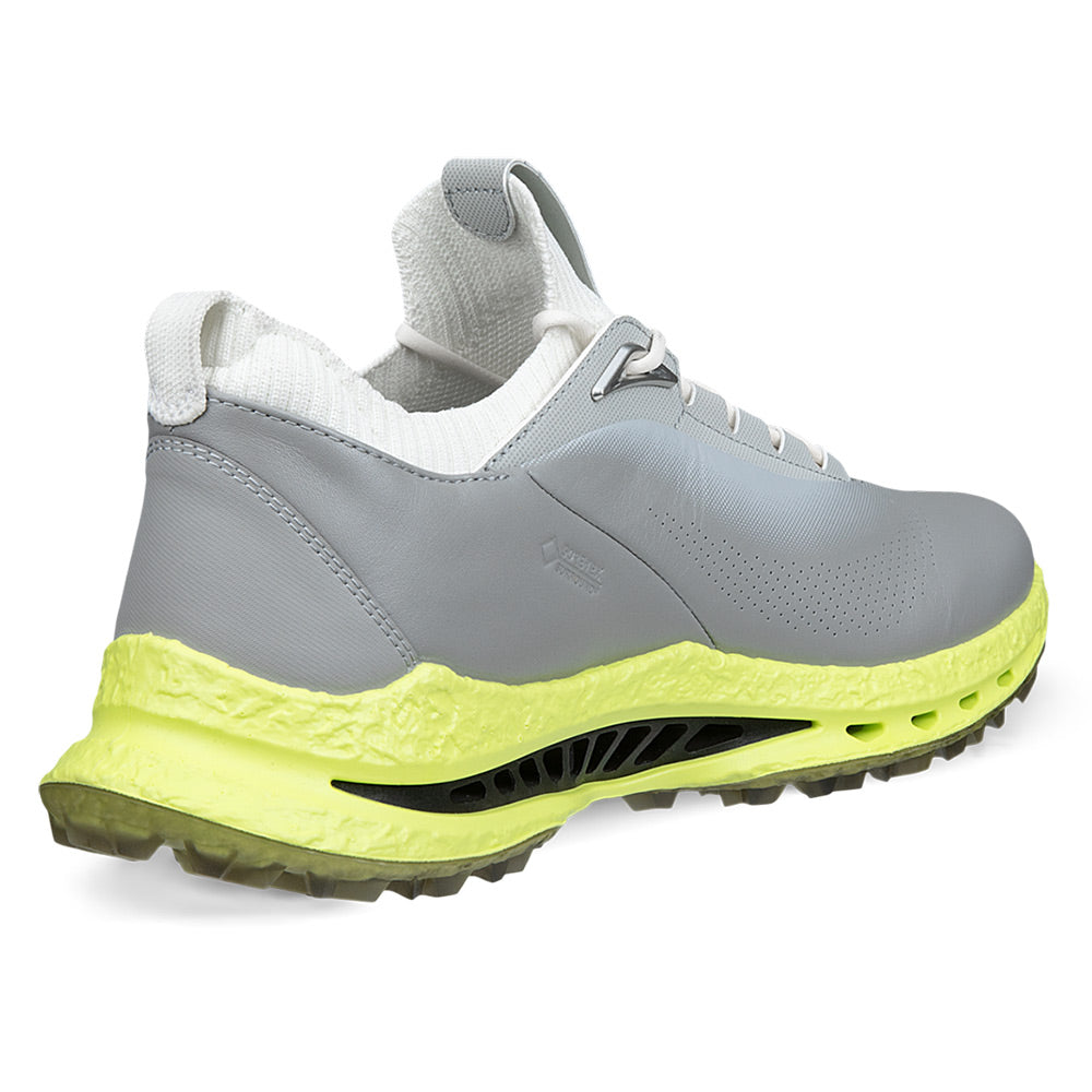 Ecco Biom C5 Leather Golf Shoes Wild Dove