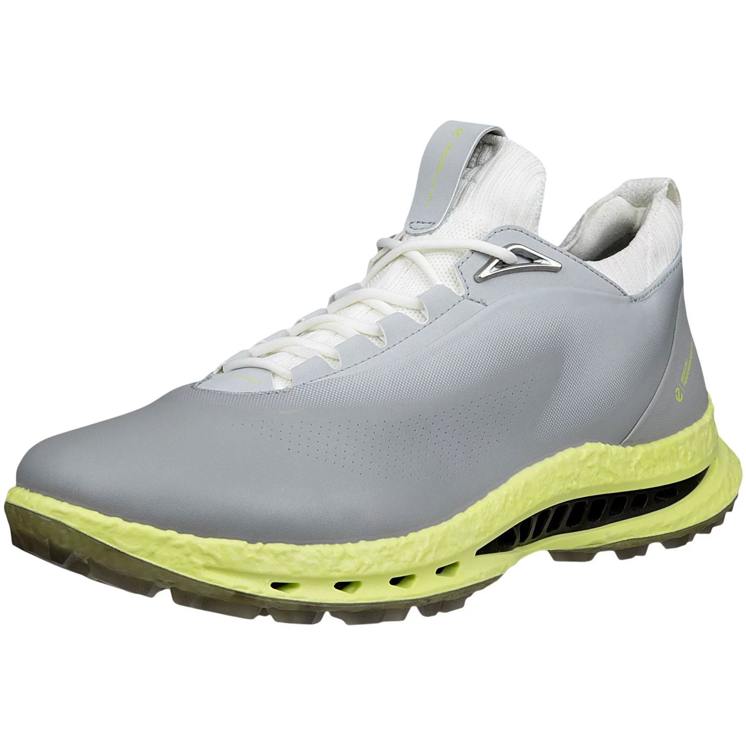 Ecco Biom C5 Leather Golf Shoes Wild Dove – Golf Discount
