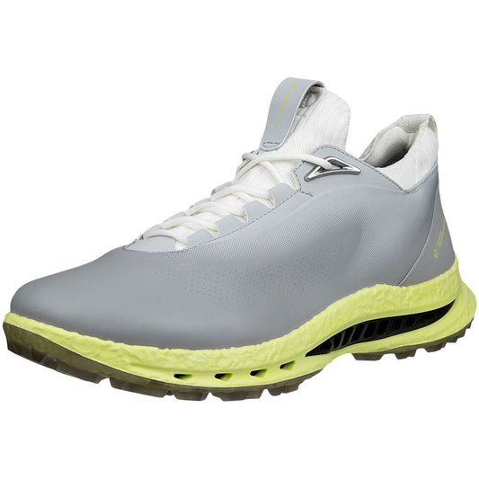 Ecco Biom C5 Leather Golf Shoes Wild Dove