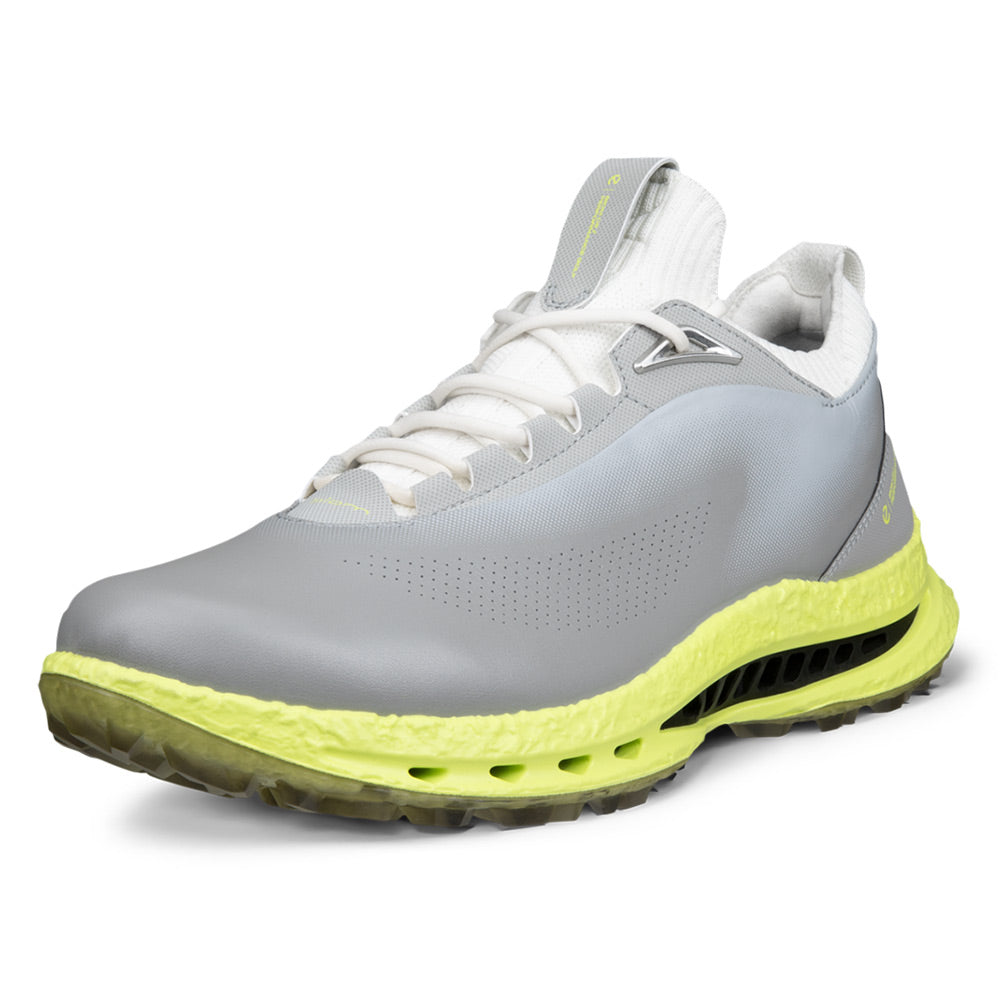 Ecco Biom C5 Leather Golf Shoes Wild Dove