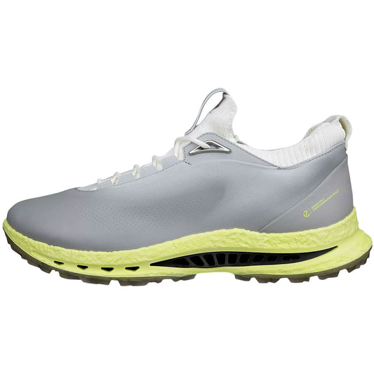 Ecco Biom C5 Leather Golf Shoes Wild Dove