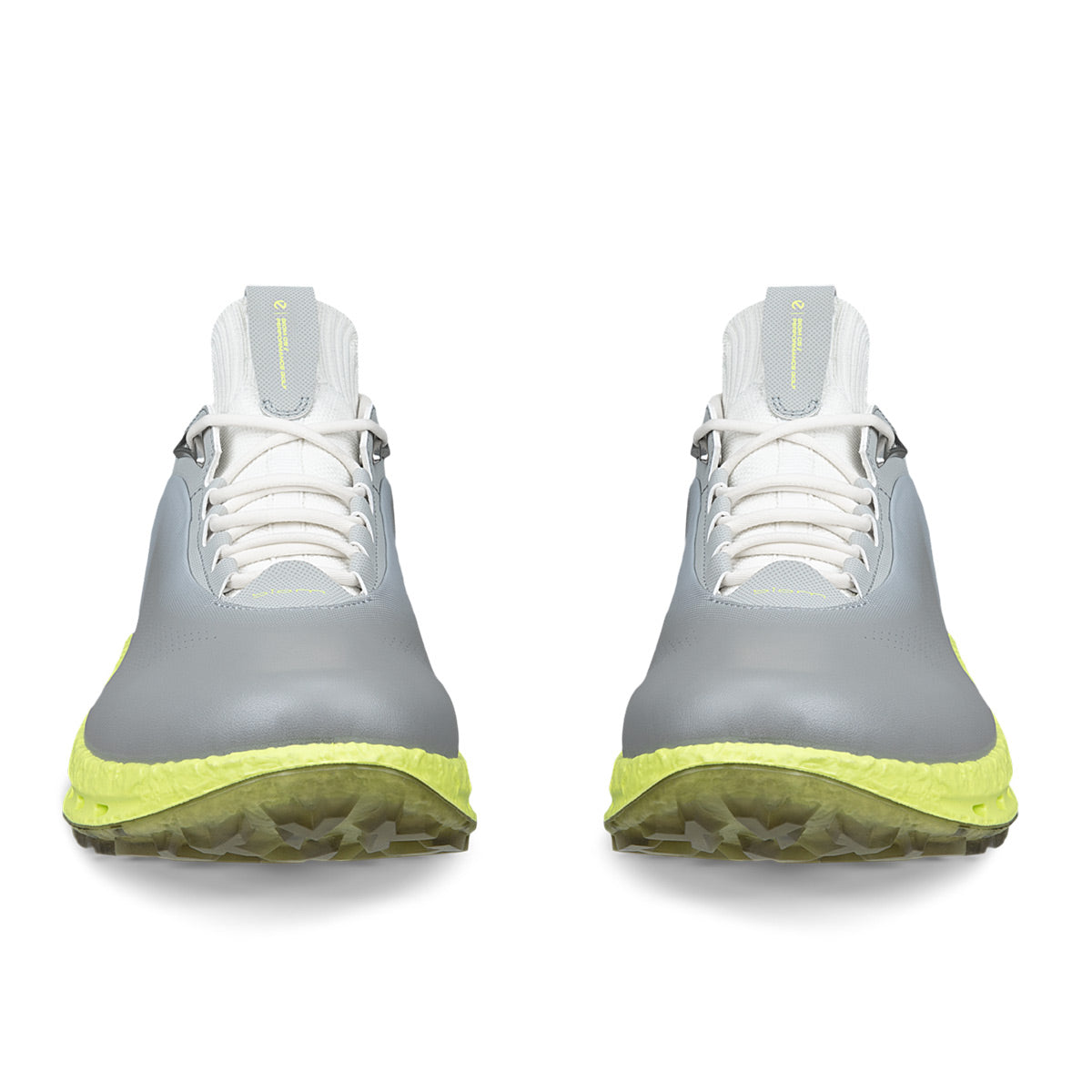 Ecco Biom C5 Leather Golf Shoes Wild Dove