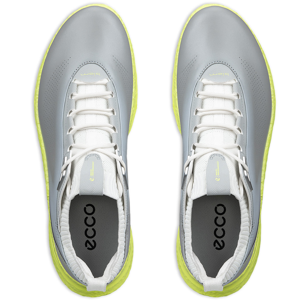 Ecco Biom C5 Leather Golf Shoes Wild Dove