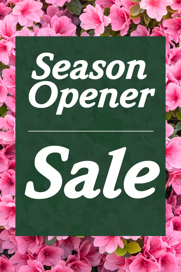 Our Cost is Your Cost Specials