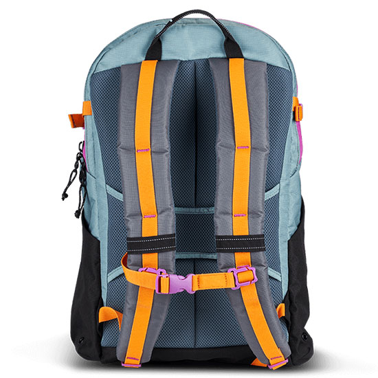 Ogio Alpha 20L Backpack