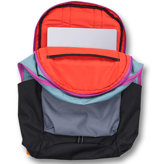 Ogio Alpha 20L Backpack