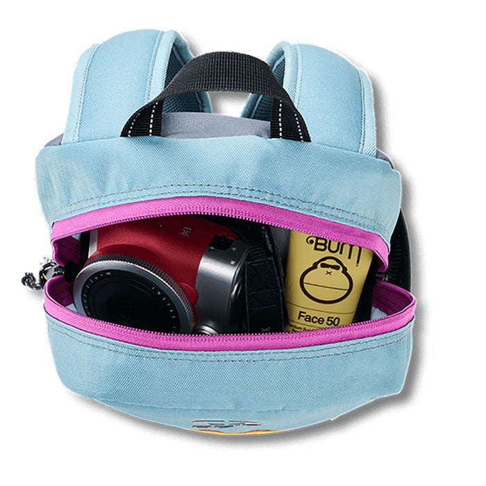 Ogio Alpha Mini Backpack