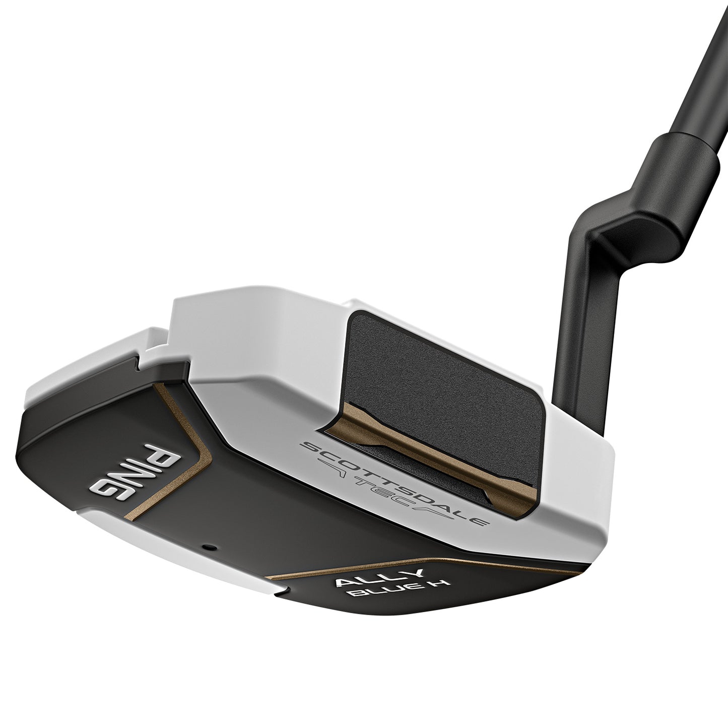 Custom Ping Scottsdale TEC Ally Blue H Putter