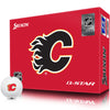 Calgary Flames