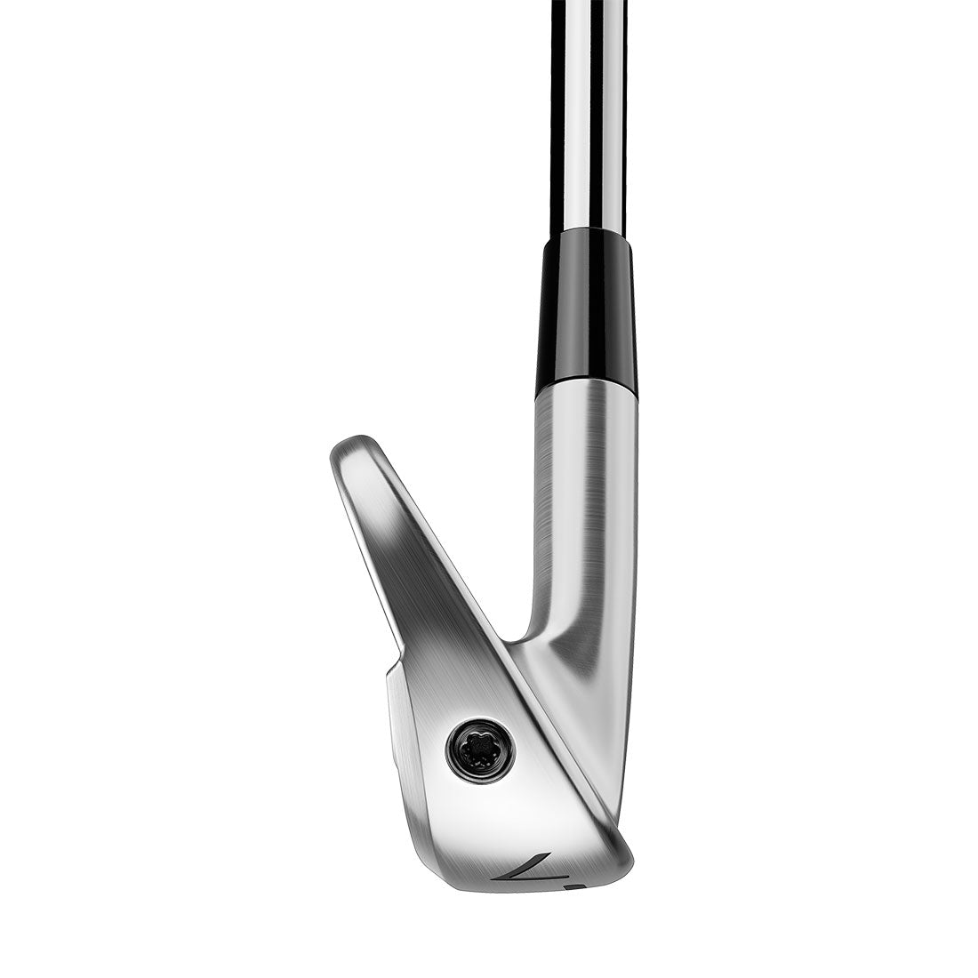 TaylorMade P770 Irons