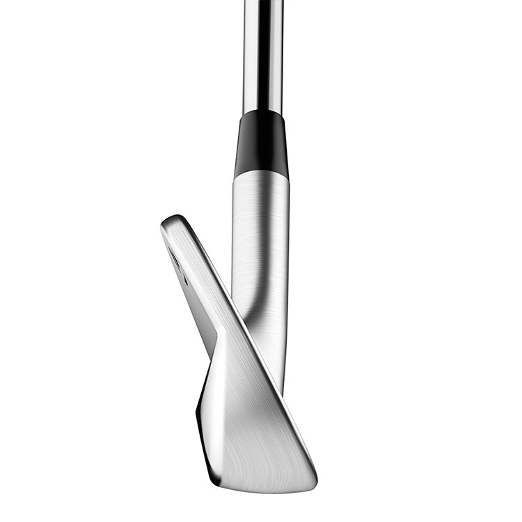 Custom TaylorMade P7MB Irons