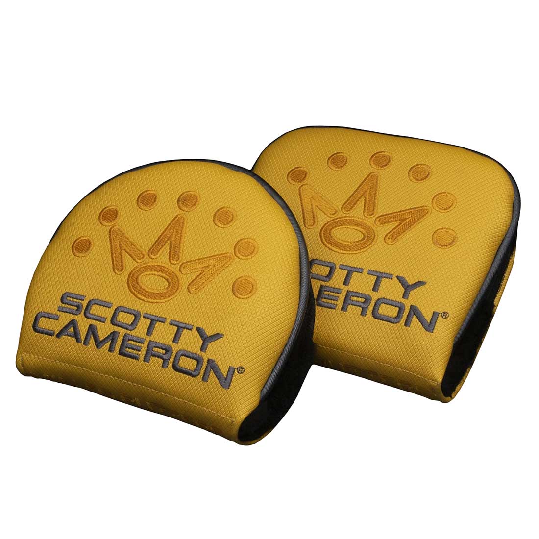 Titleist 2021 Scotty Cameron Phantom X 5 Putter – Golf Discount