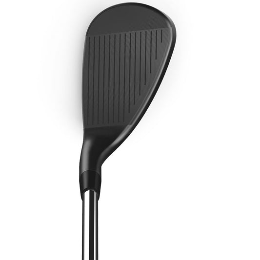 Wilson 2025 Infinite Wedge