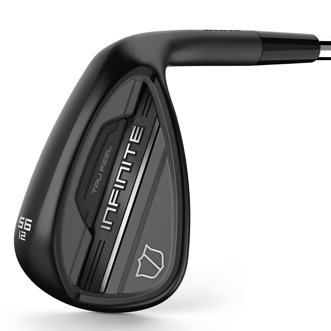 Wilson 2025 Infinite Wedge