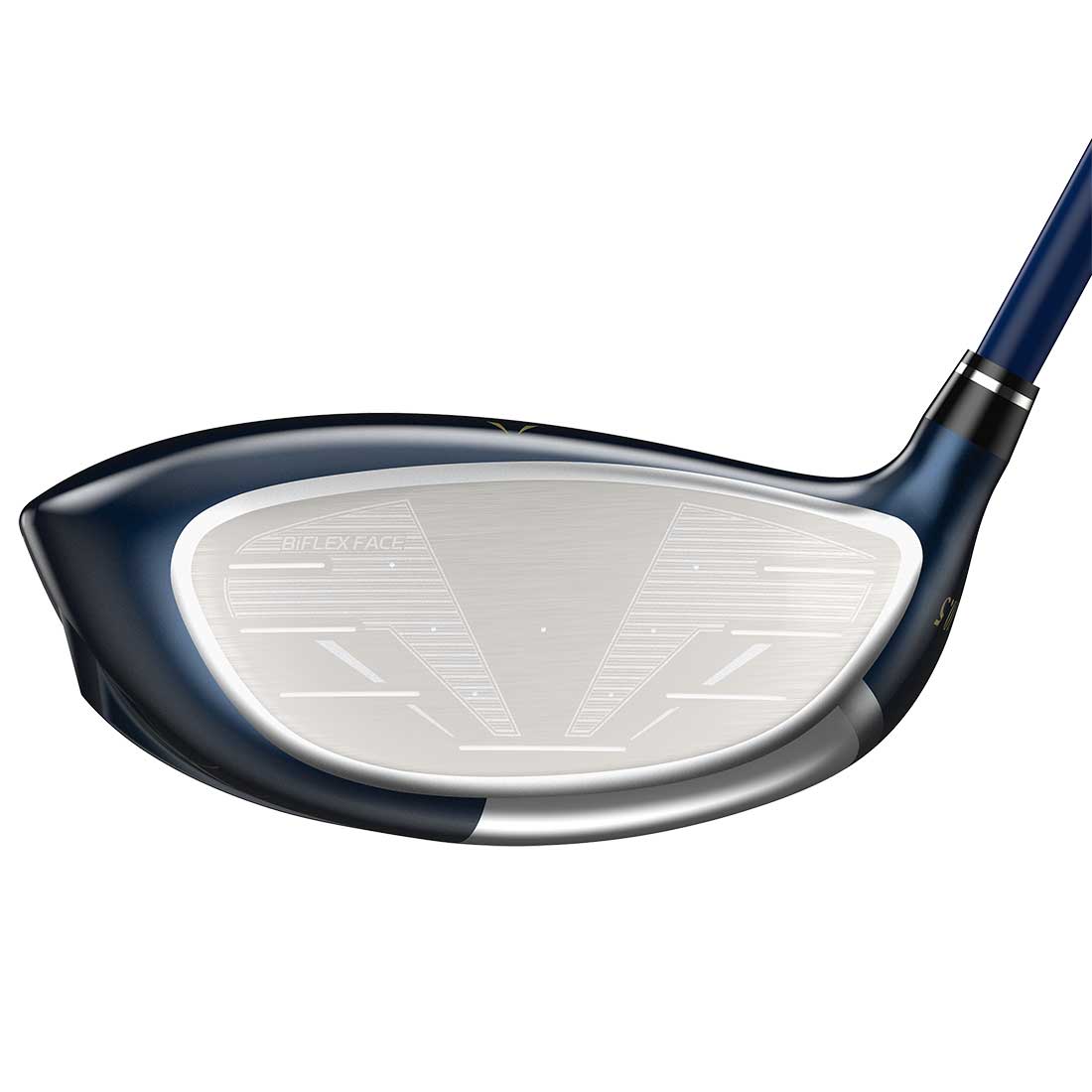 XXIO 13 Driver